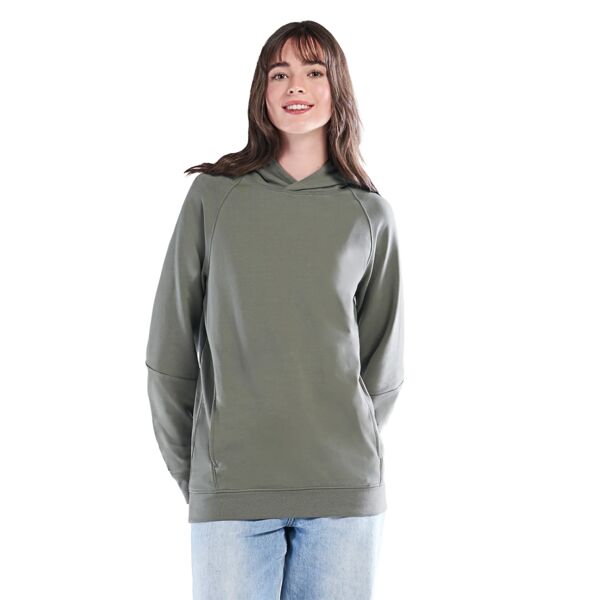 Adult Performance Pullover Hooded Sweatshirt Thumbnail